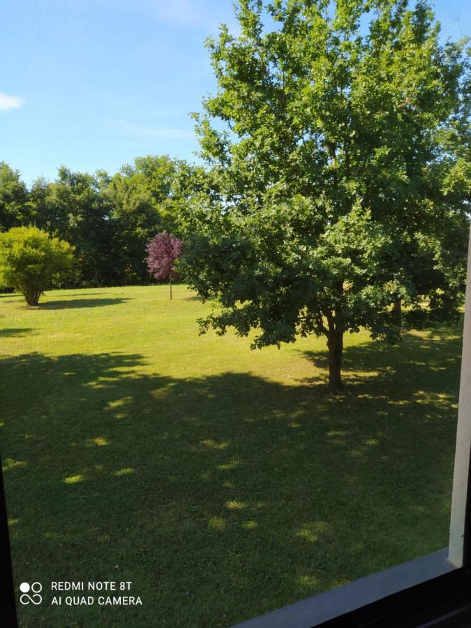 Guest House La Carolina Tigliole Екстериор снимка